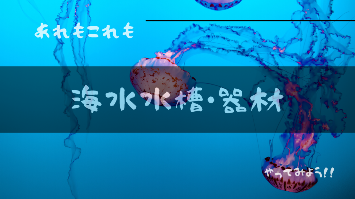 海水水槽・器材写真