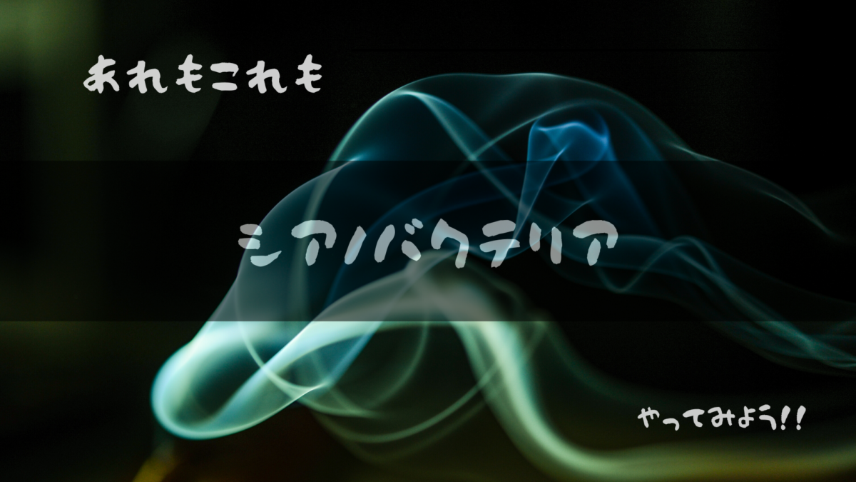 シアノバクテリアアイキャッチ