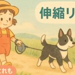 伸縮リード10mで散歩する黒白の犬と女の子（Pecute／手首ストラップ併用）