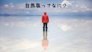 自然塩とは何かを問いかけるイメージ画像（鏡のような水面に立つ人物の後ろ姿）