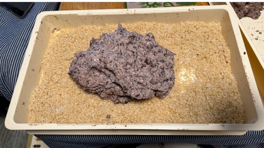 塩切り麹とつぶした黒豆