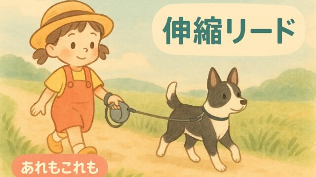 伸縮リード10mで散歩する黒白の犬と女の子（Pecute／手首ストラップ併用）